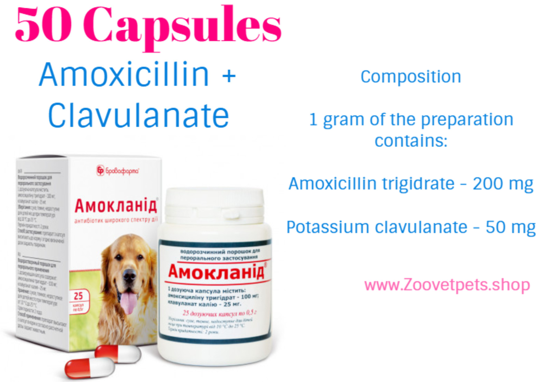 50 Capsules (Amoxicillin + Clavulanate) analog Clavamox