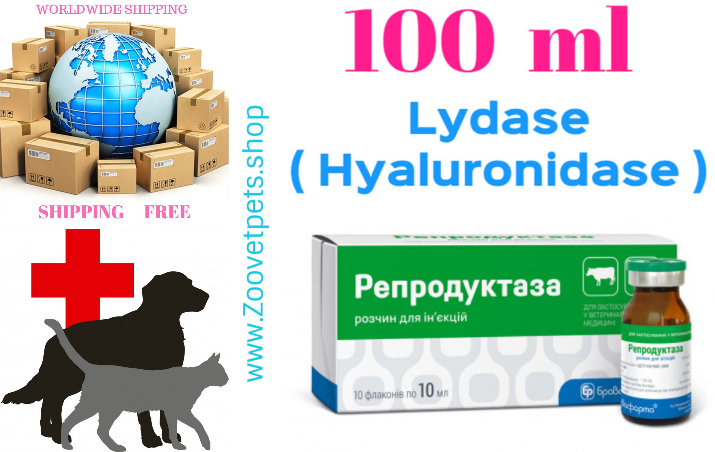 100ml Lydase ( Hyaluronidase ) of cows and pigs with disorders of reproductive organs - chronic salpingite, endomyoperisalpingite, salpingoophoritis, multiple unsuccessful insemination of cows