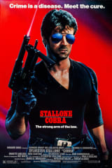 Cobra one-sheet