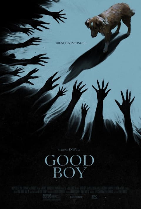 Good Boy theatrical one-sheet