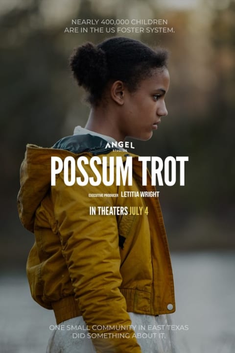 Sound of Hope: Possum Trot theatrical one-sheet