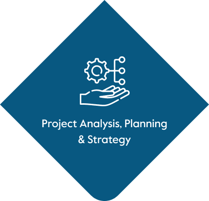 project analysis project analysis
