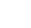 protrucksandcars logo