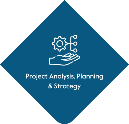 project analysis
