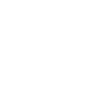 protrucksandcars logo