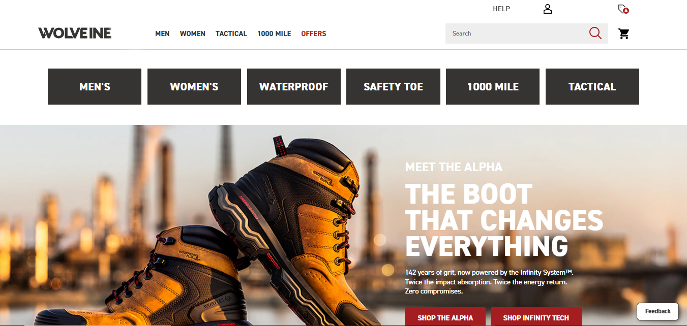 grand rapids website development
