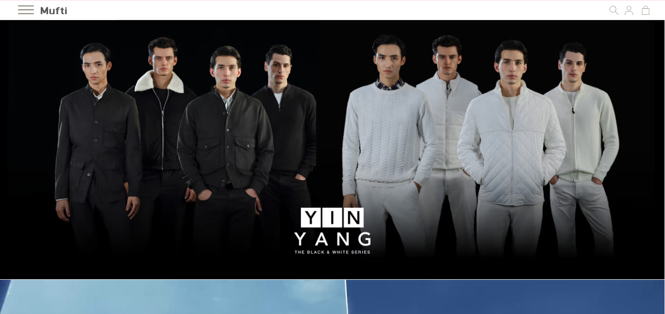 website development in noida