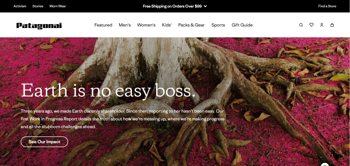 web development louisville