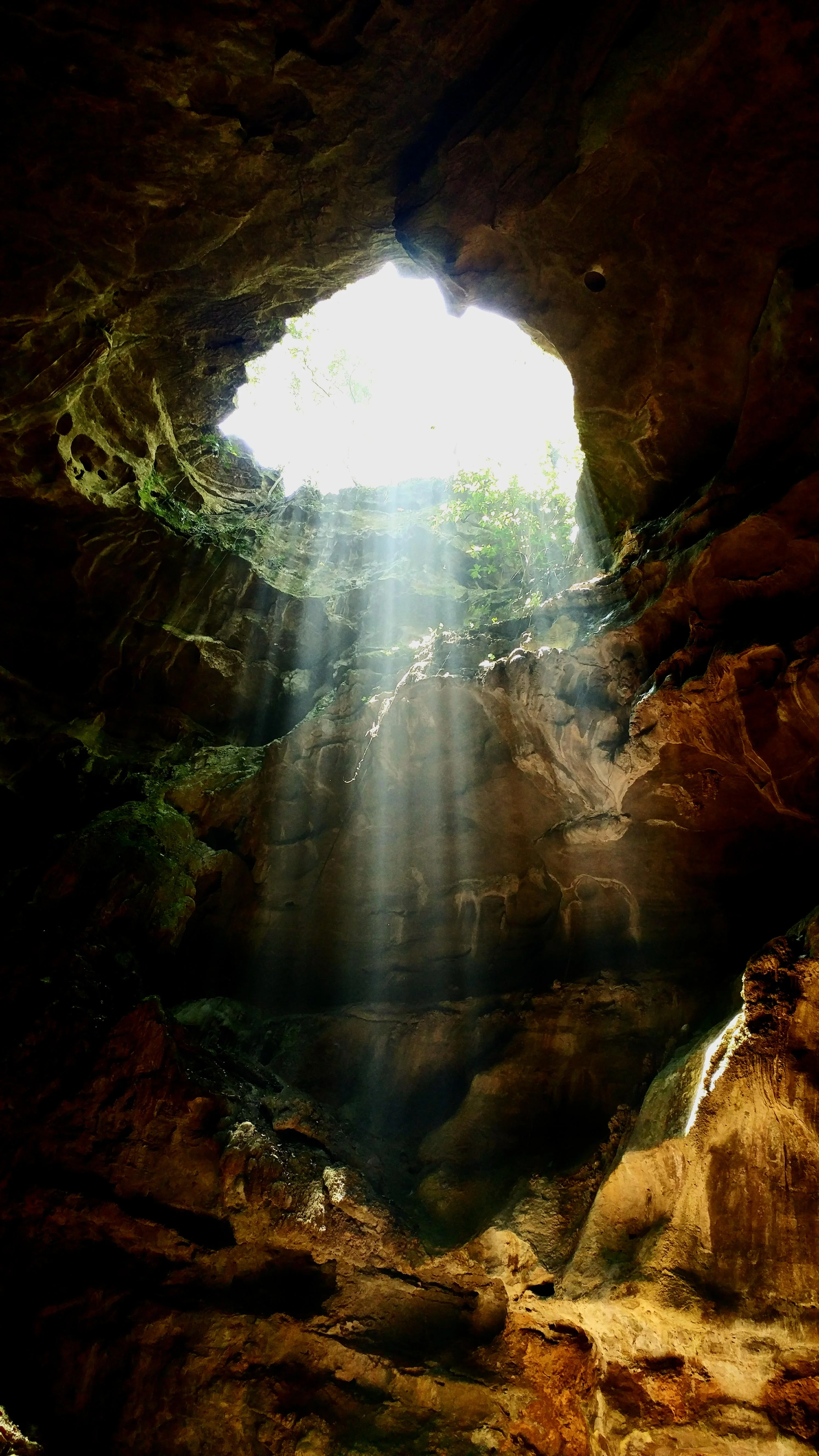 The mind at the edge of darkness