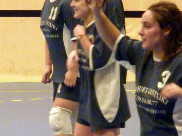 Saison 2010-11