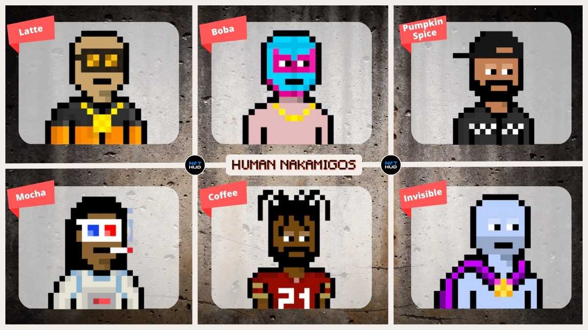 What are Human Nakamigos