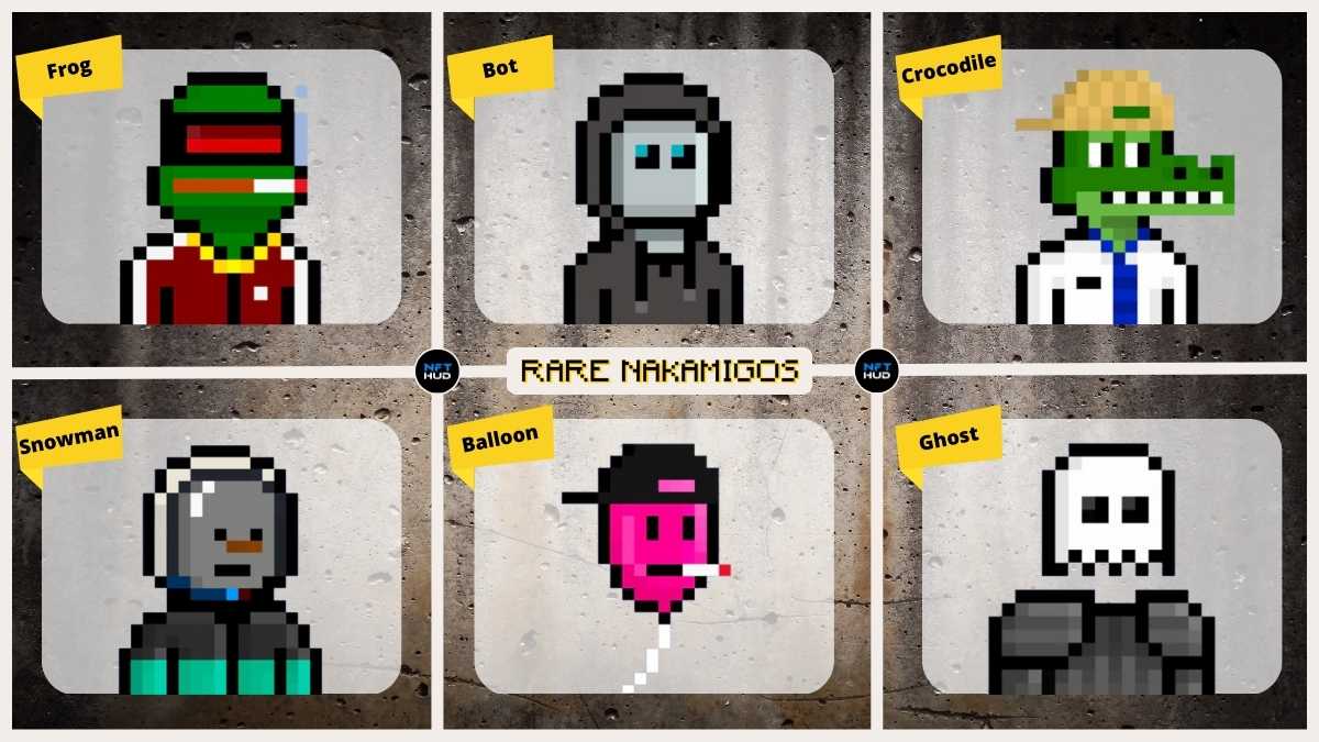 What are Rare Nakamigos
