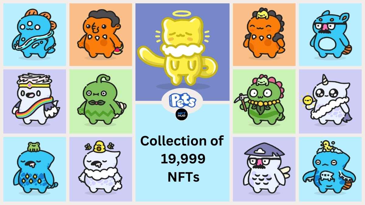 Complete Guide to Cool Pets and Cooltopia, Cool Cats NFT Game