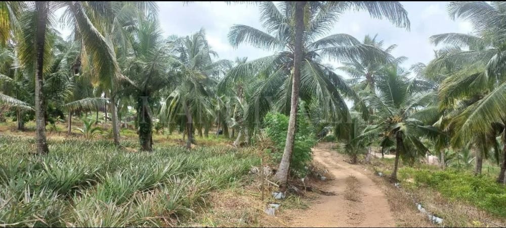 Land For Sale in Kurunegala