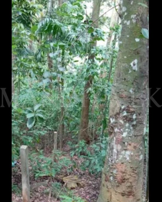Commercial Property For Sale in Kan