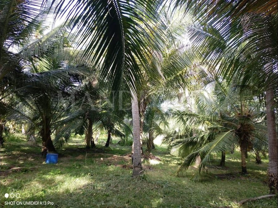 Land For Sale in Kurunegala