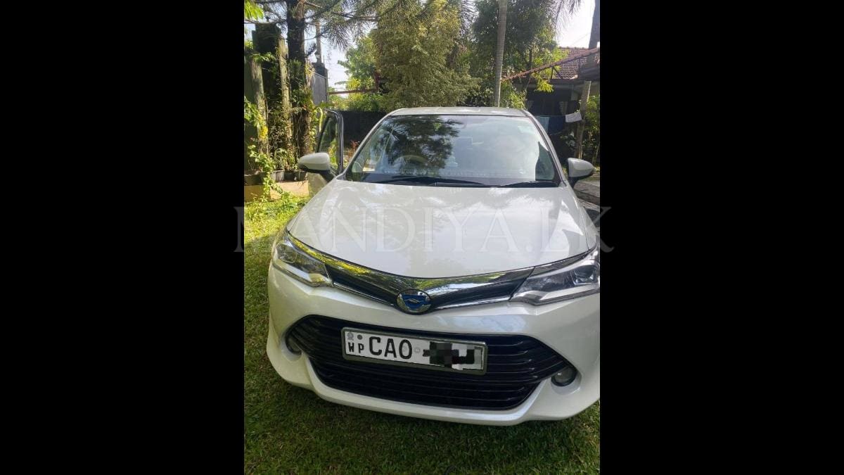 Toyota Axio G 2015 Car