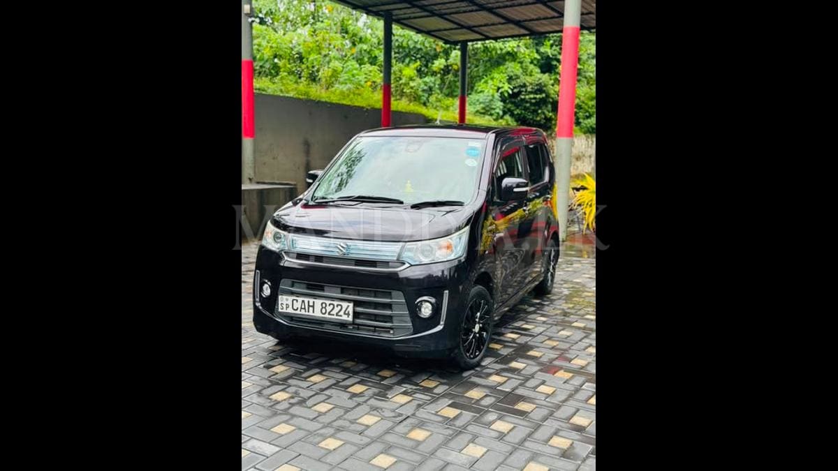 Suzuki Wagon R 2014 Car
