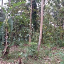 Land For Sale in Gampaha