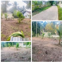 Land For Sale in Gampaha