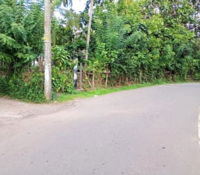 14 Perch Land For Sale - Athurugiriya