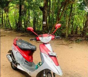 Tvs Scooty Pep Plus 2011 Motorcycle