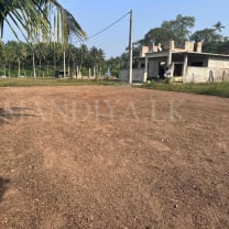 9 Perch Land For Sale