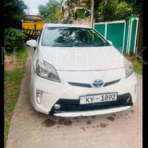 Toyota Priuse Car for Rent