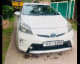 Toyota Priuse Car for Rent 1