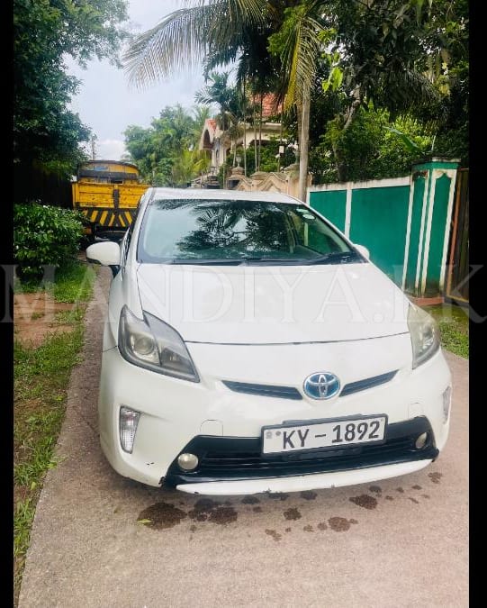 Toyota Priuse Car for Rent