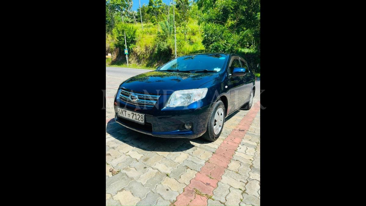 Toyota Axio 2010 Car 3