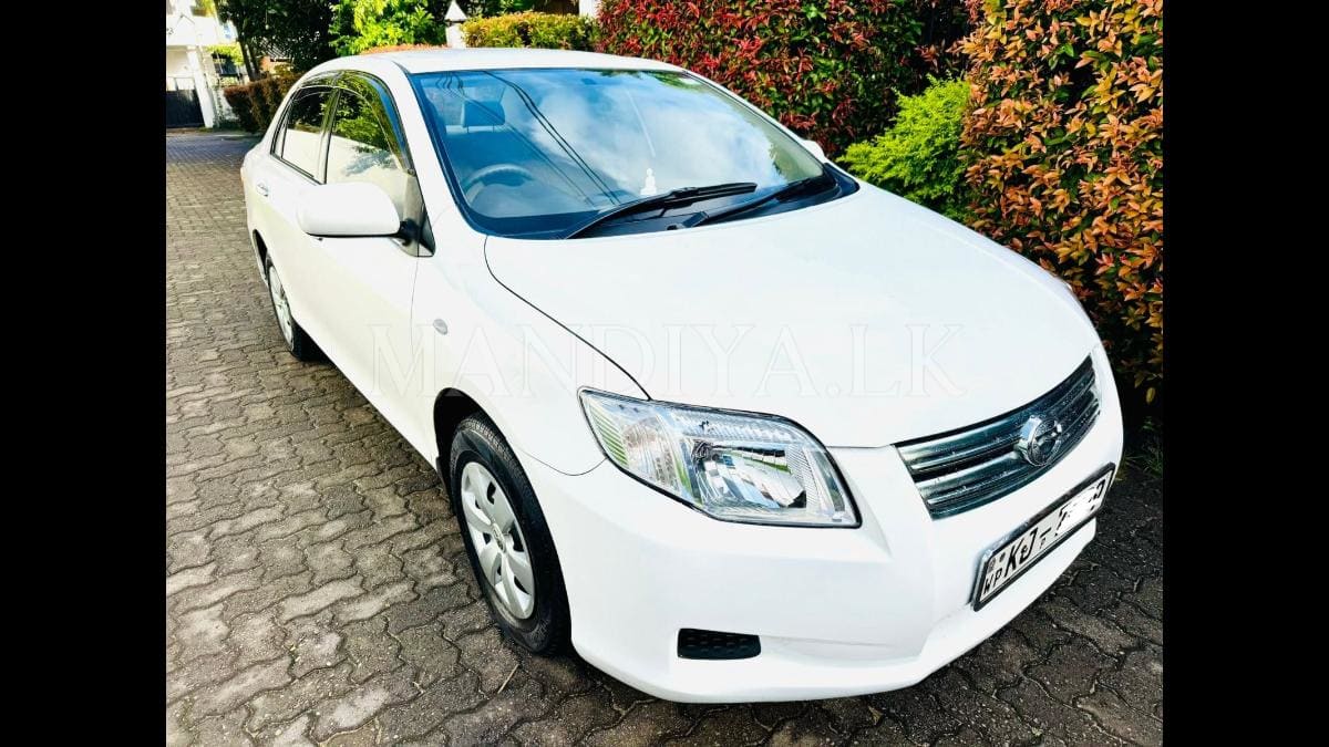Toyota Axio 2007 Car