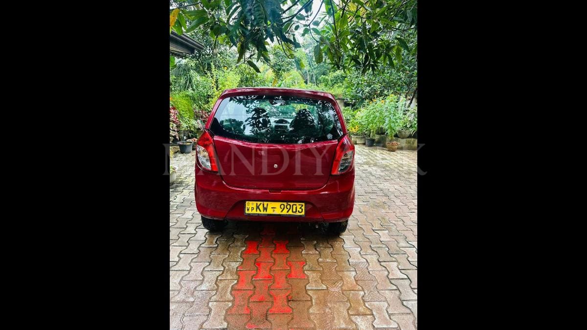 Suzuki Alto 2013 Car 5