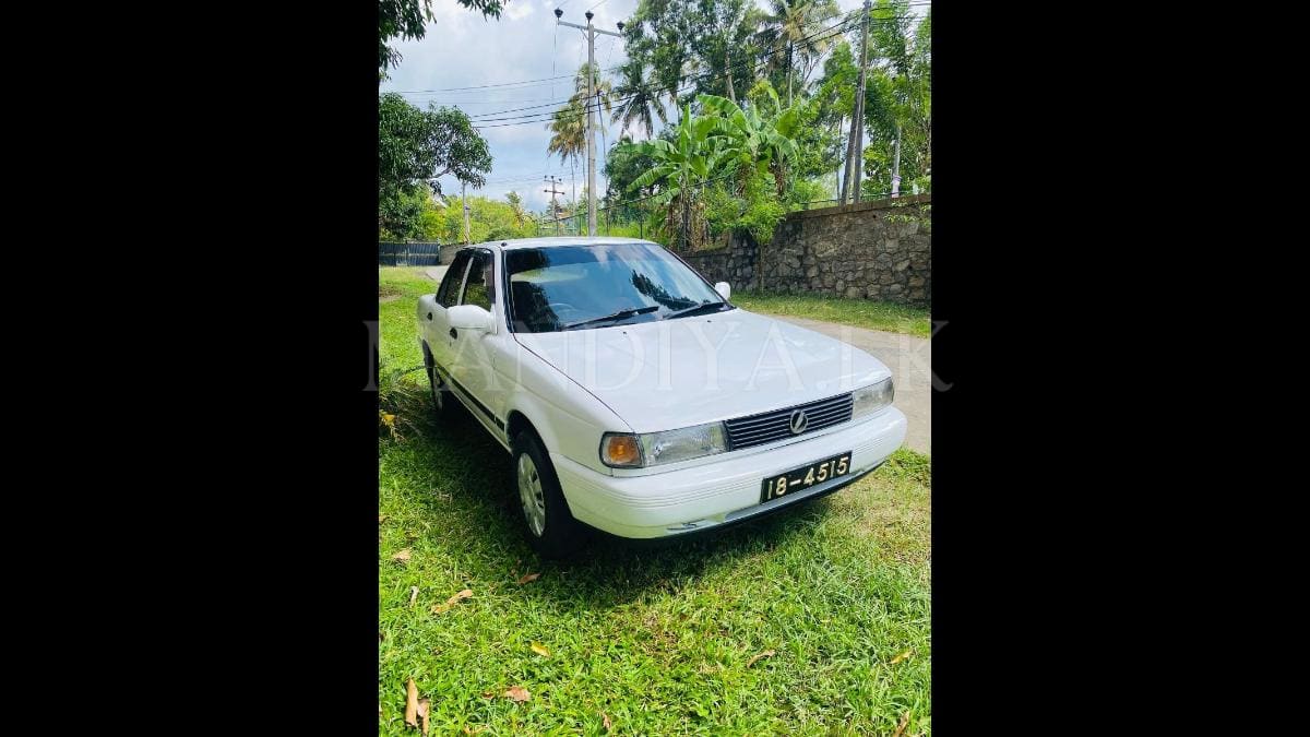 Nissan Doctor Sunny 1991 Car