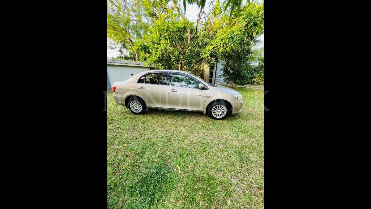 Toyota Axio G 2010 Car 3