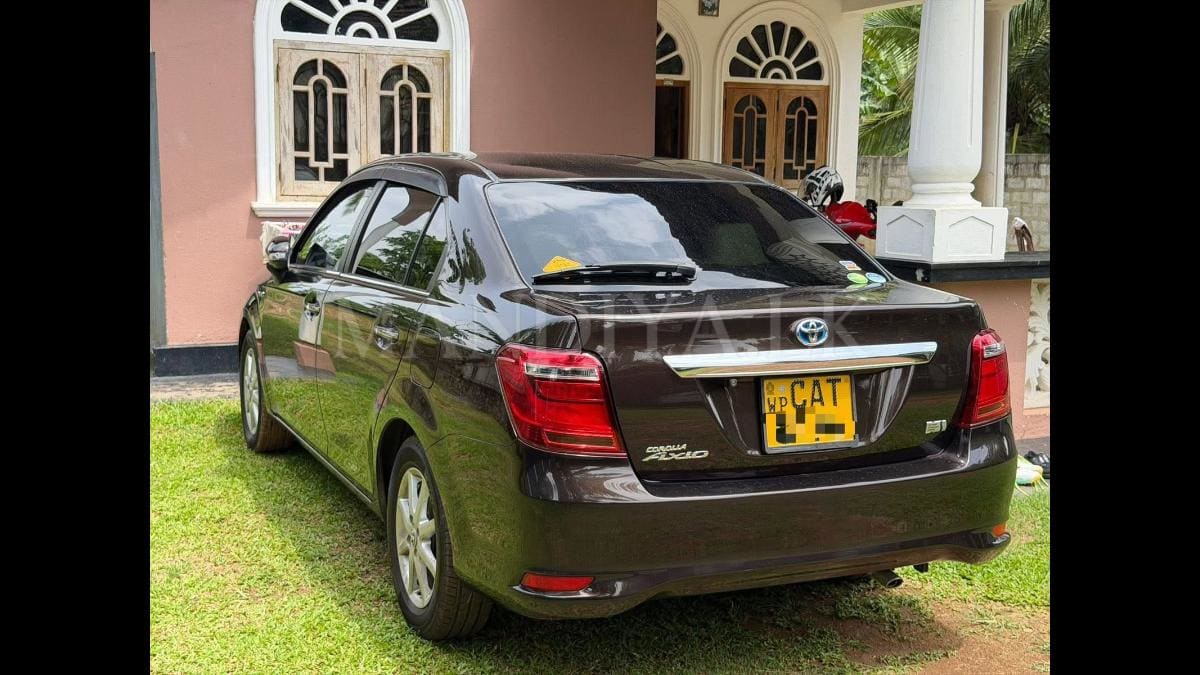 Toyota Axio 2016 Car 2