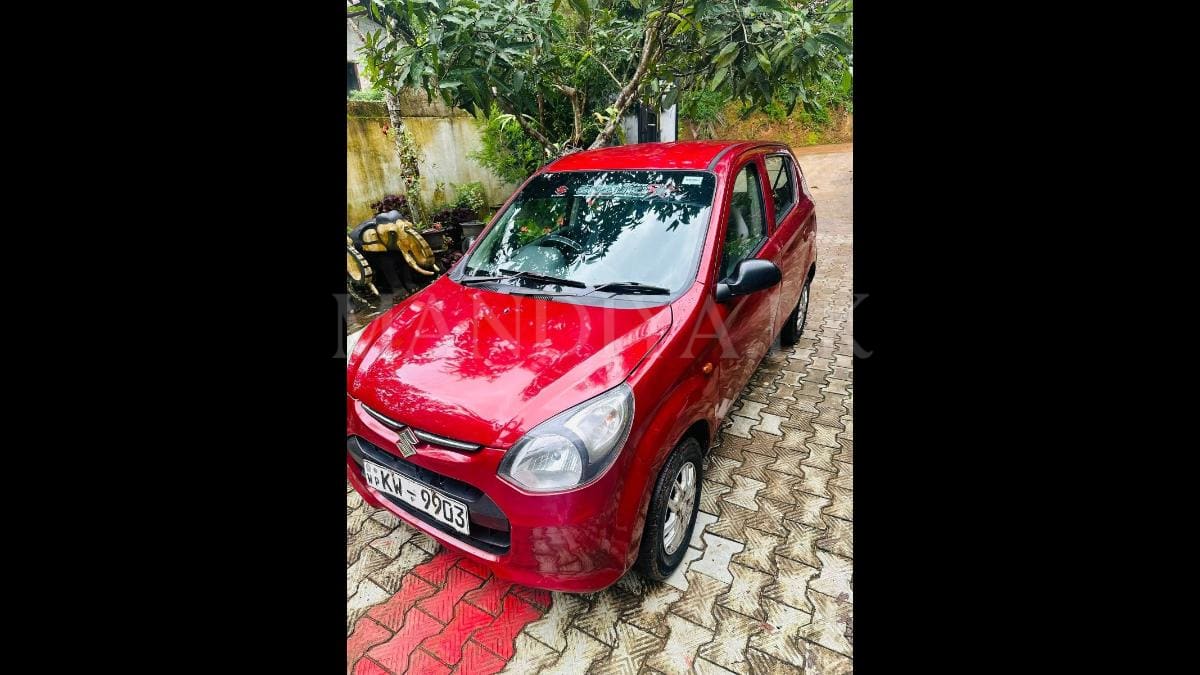 Suzuki Alto 2013 Car 2