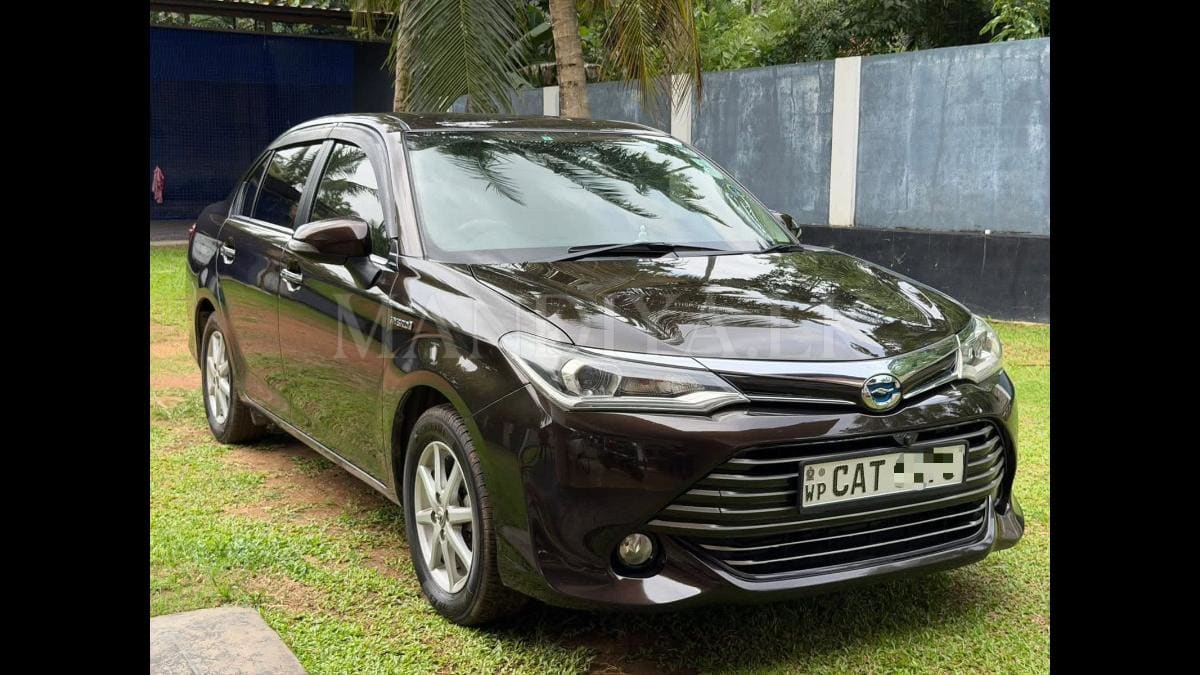 Toyota Axio 2016 Car 3