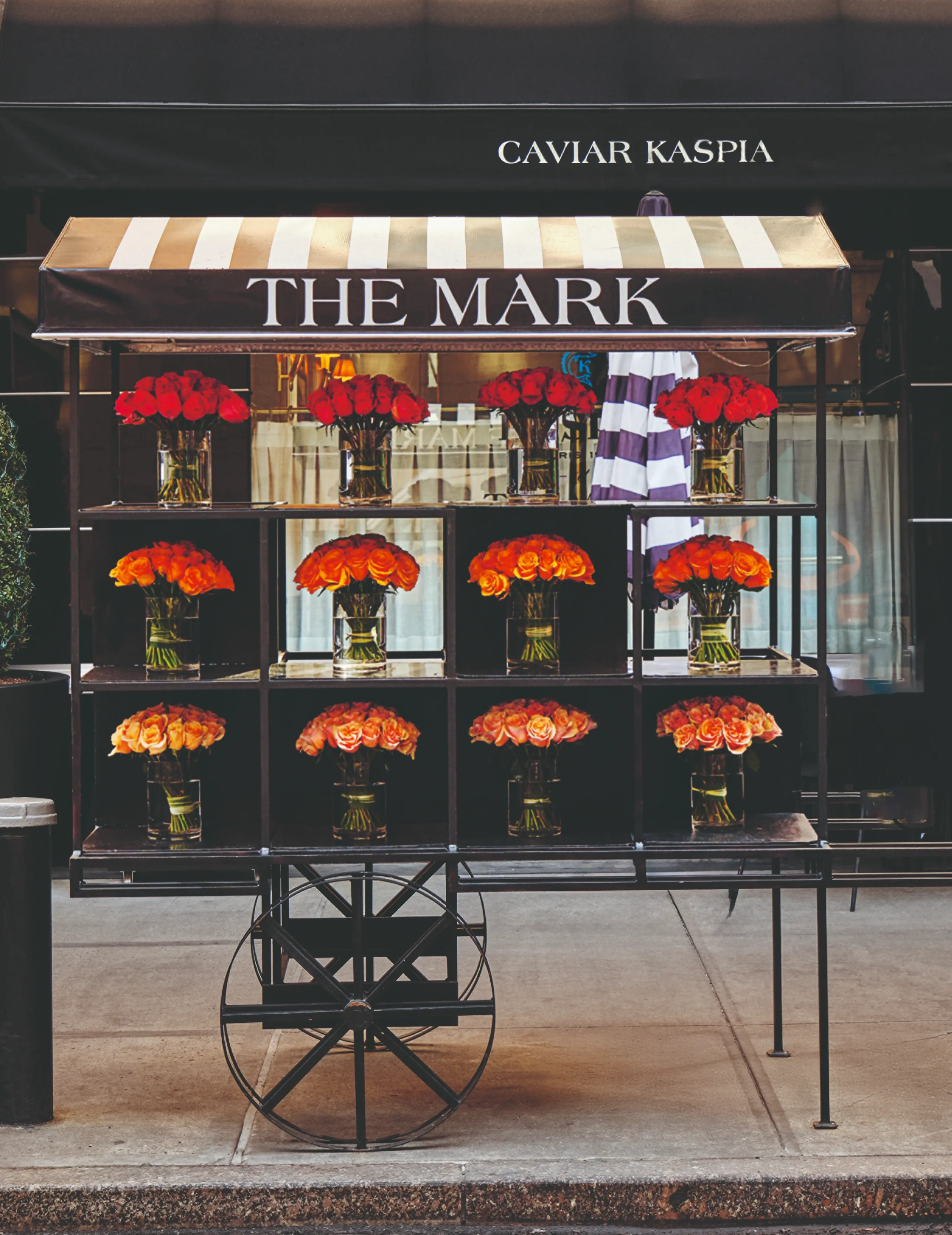 4 © Adrian Gaut.webp