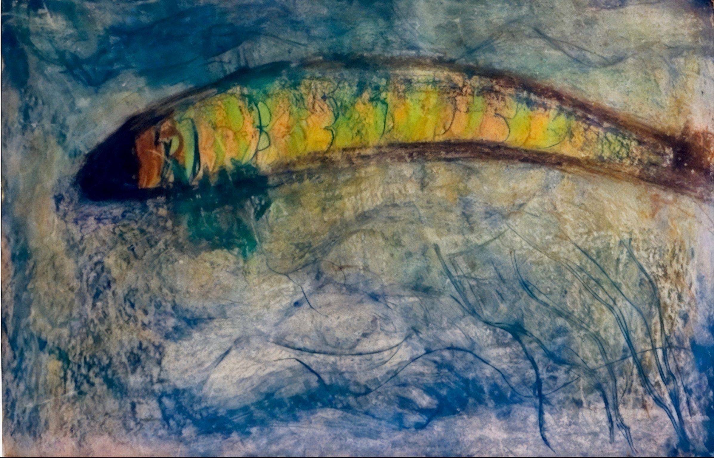image1.jpeg