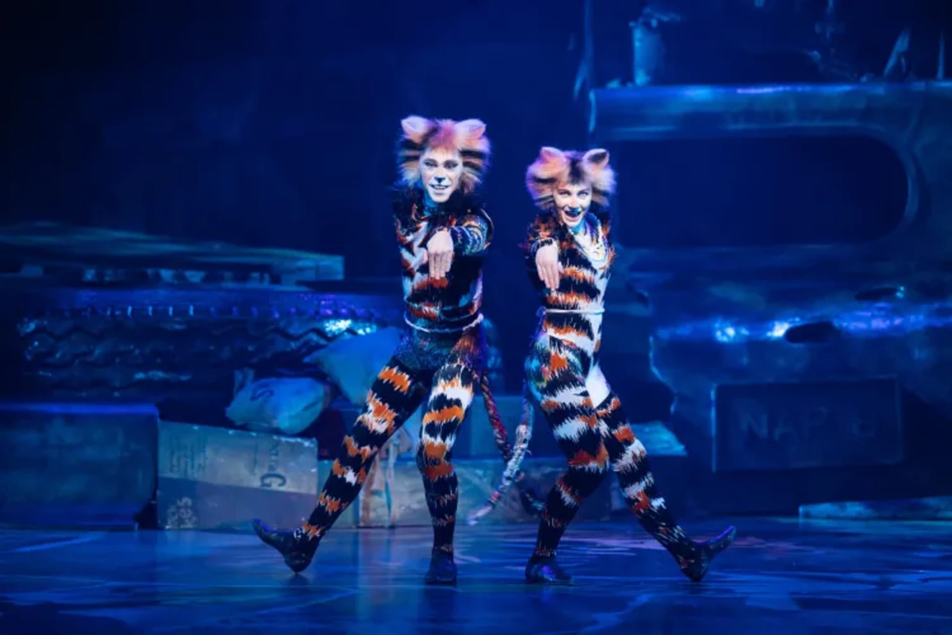CATS the musical comes to Abu Dhabi in May 2026