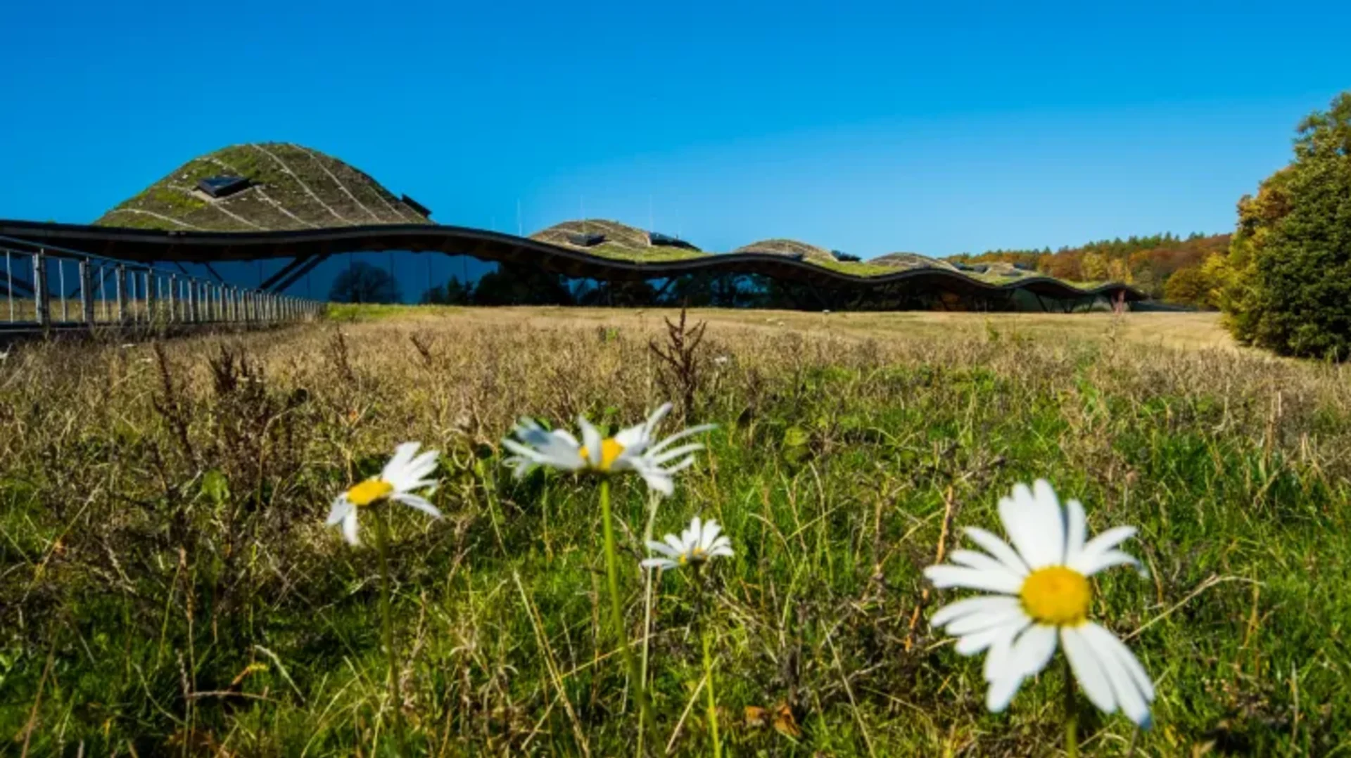 The Macallan Distillery stands as an Architectural Landmark in Scotland
