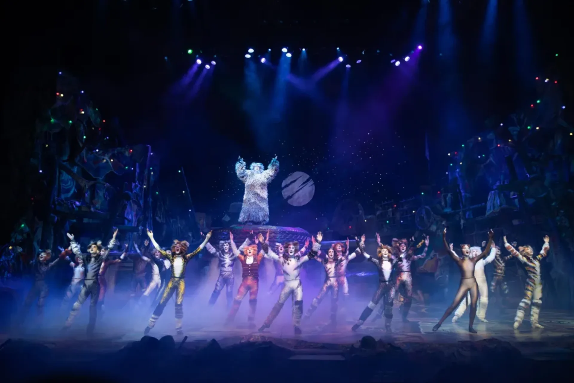 CATS the musical comes to Abu Dhabi in May 2026