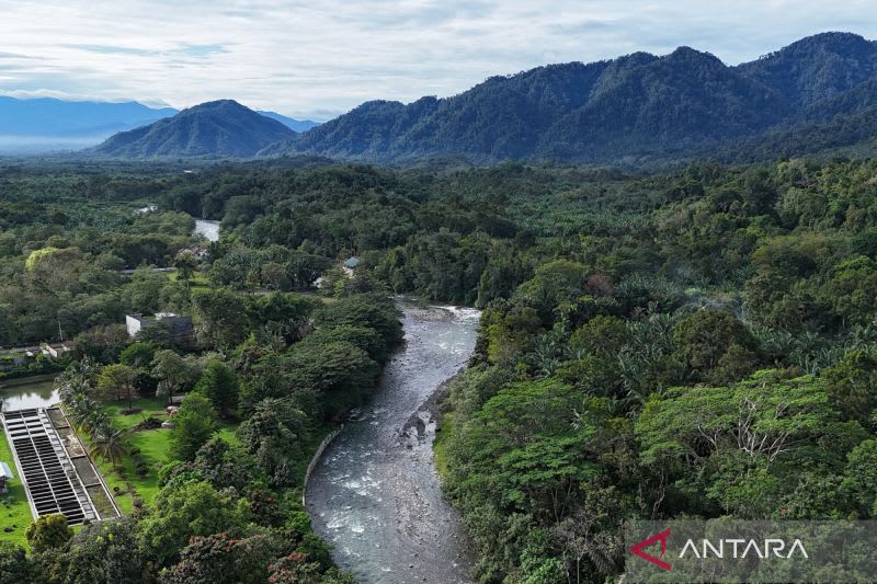 Menakar Kebijakan Fiskal Penyelamat Alam