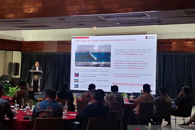 Danantara Pastikan Tidak Ada Phk Di Tengah Proses Merger Bumn