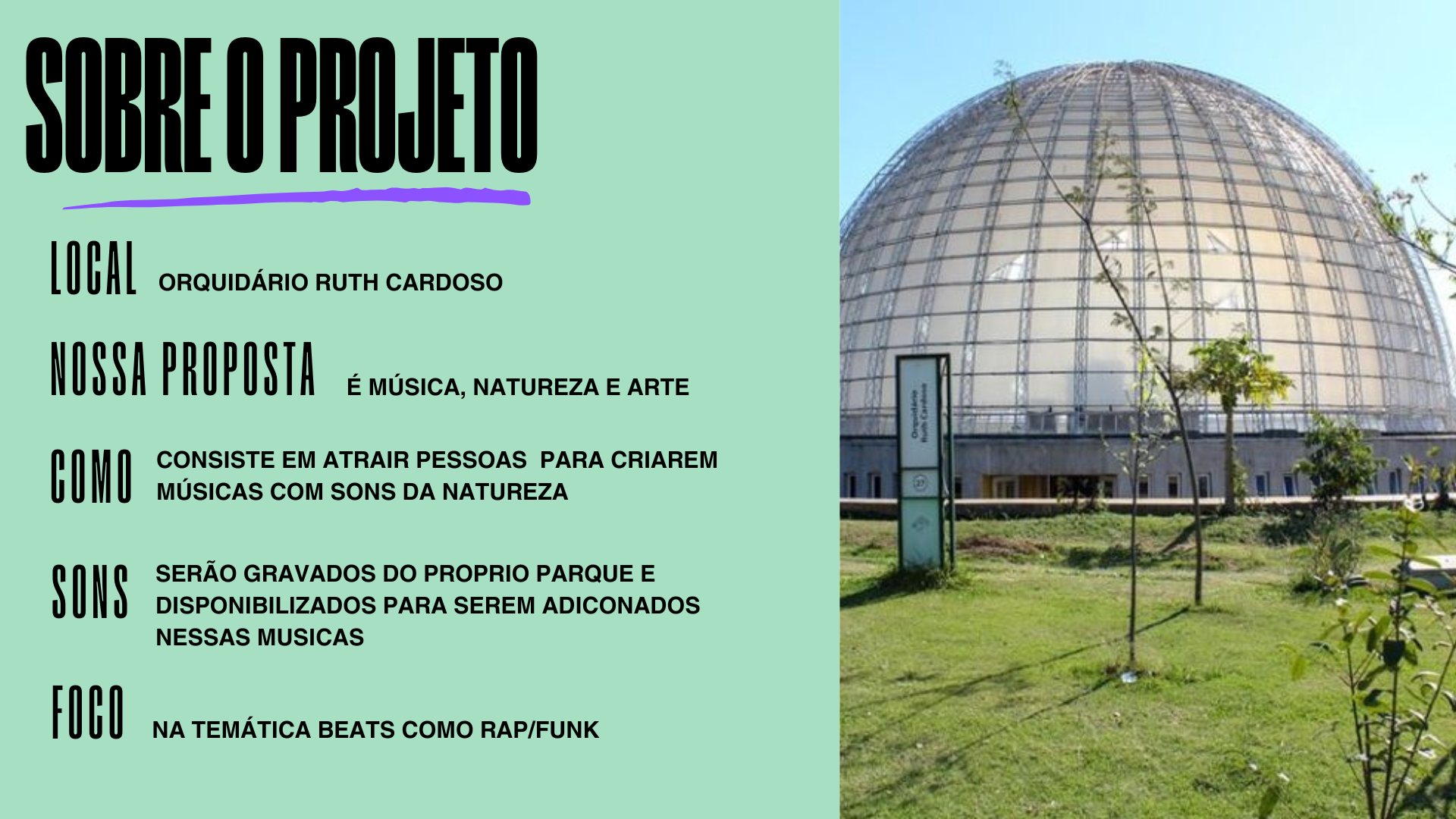 Project media