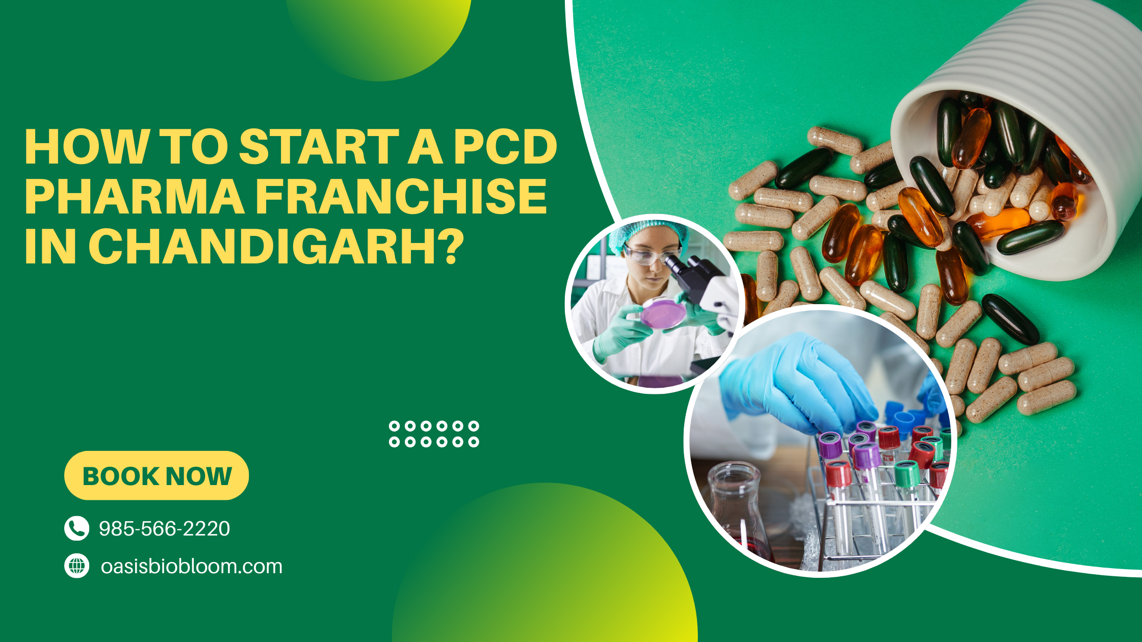 PCD Pharma Franchise in Chandigarh