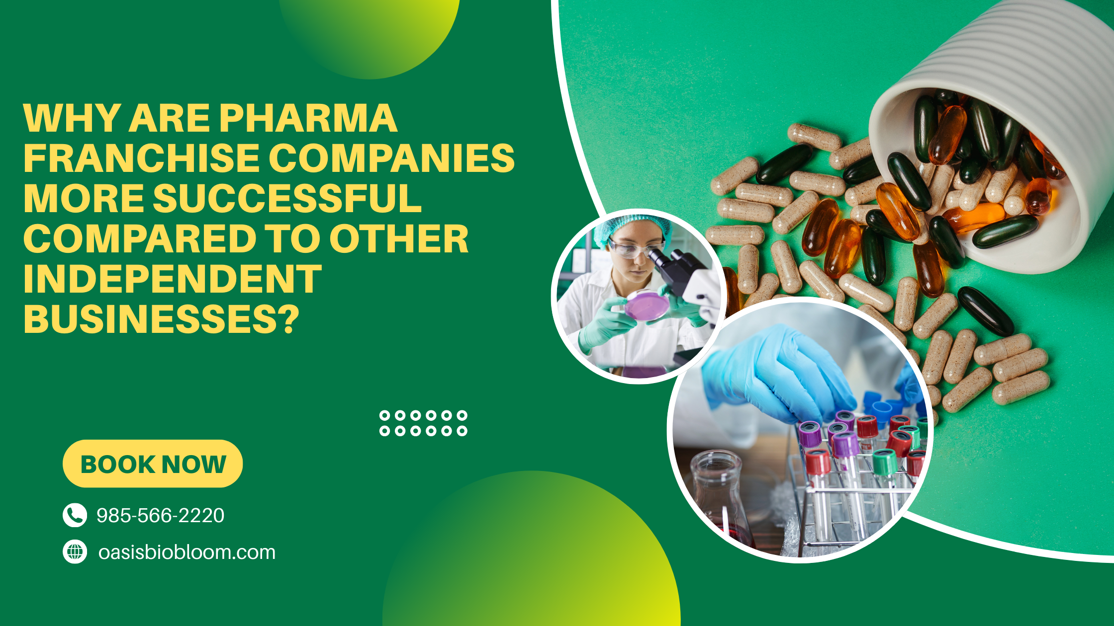 Pharma Franchise Companies Succeed in India