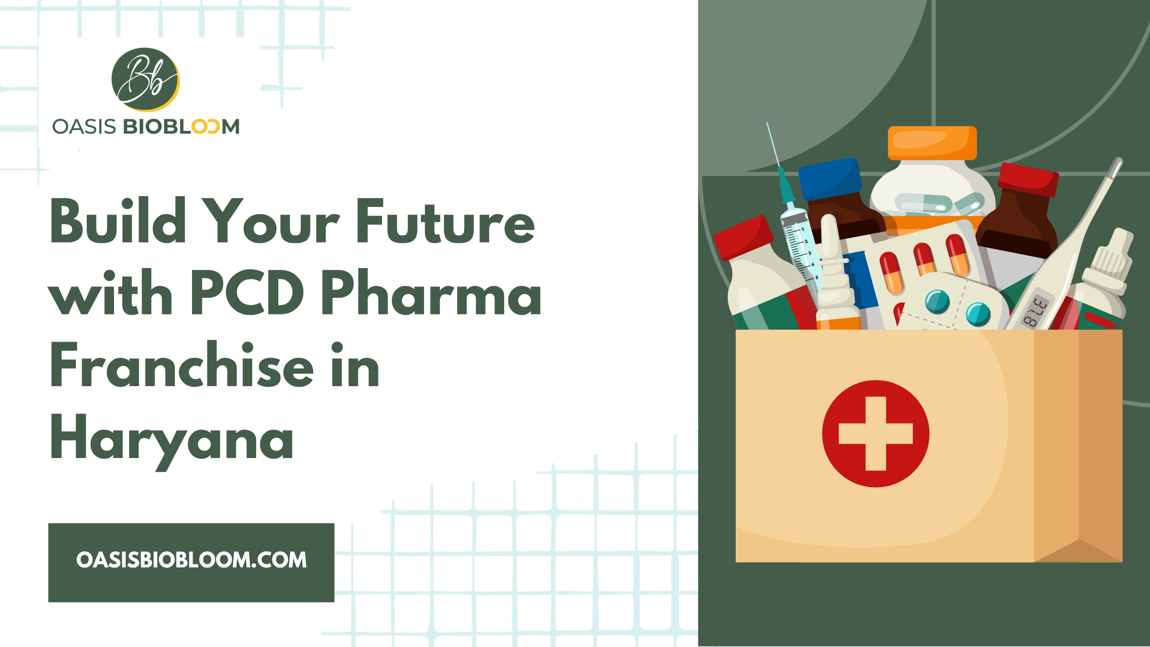 PCD Pharma Franchise in Haryana