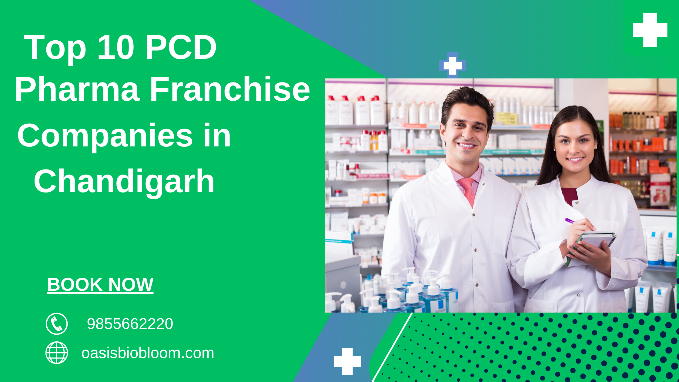 Top 10 PCD Pharma Franchise Companies in Chandigarh